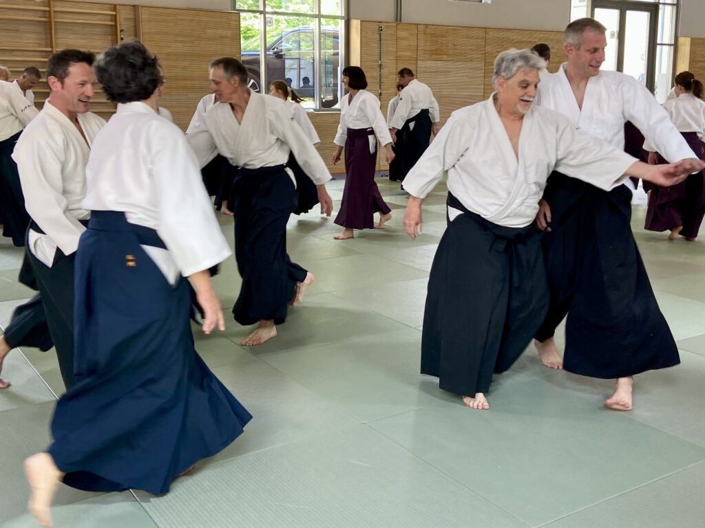 Aikido Classic Erwachsene
